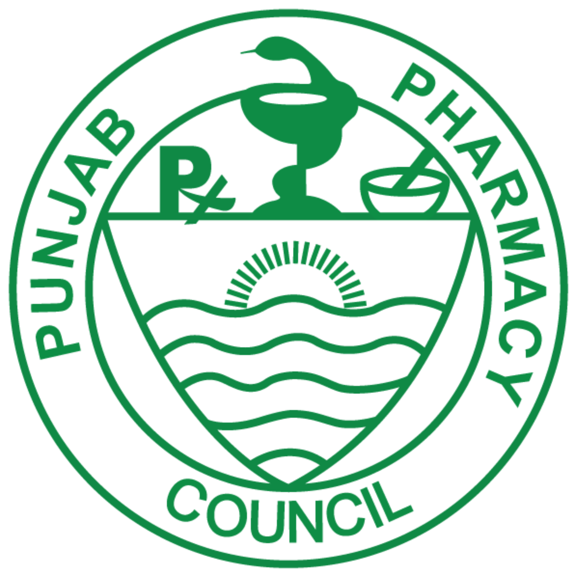 Islamia University of Bahawalpur Logo