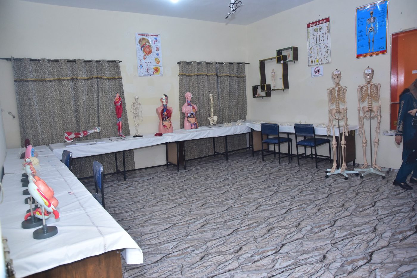Anatomy display lab at BCON