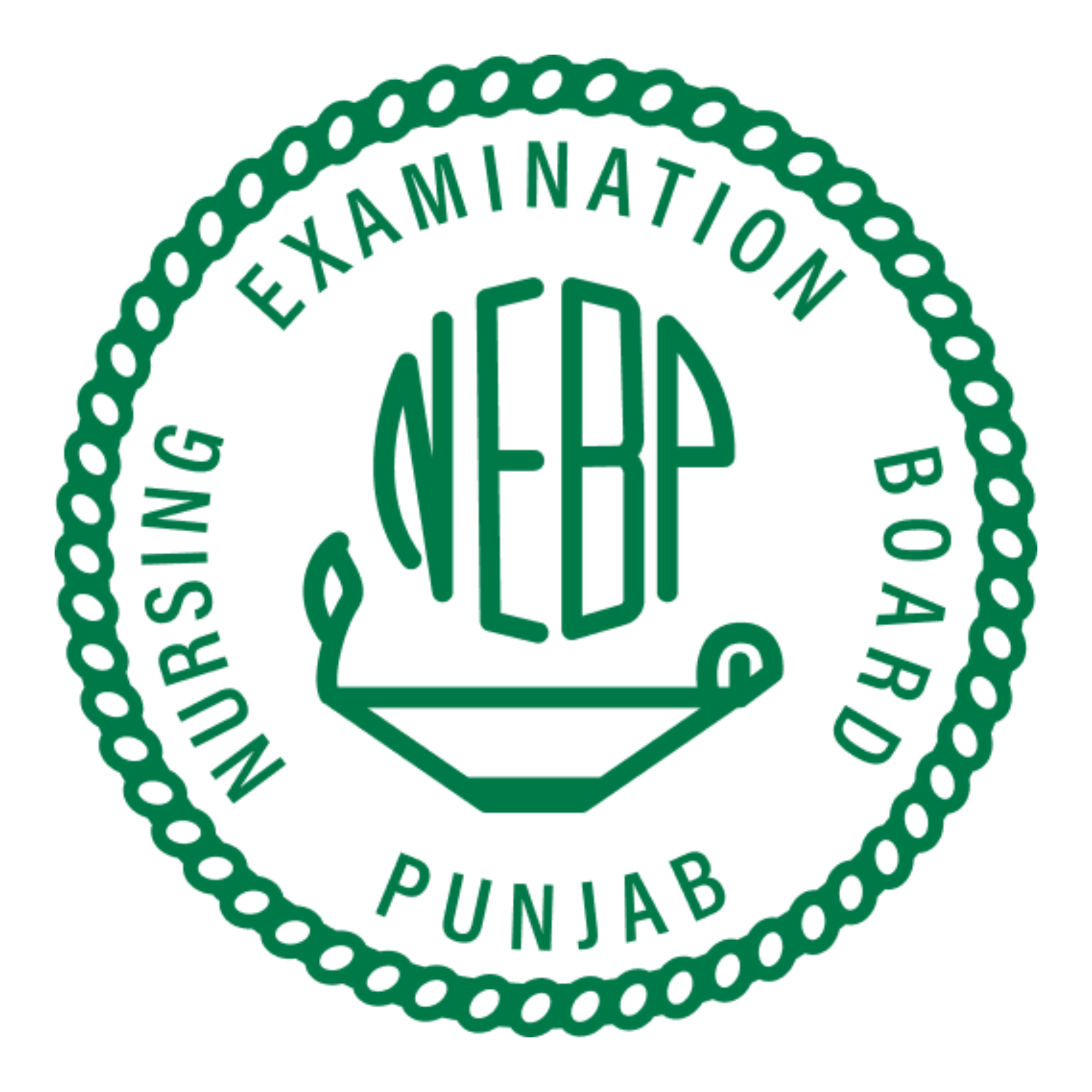 Islamia University of Bahawalpur Logo